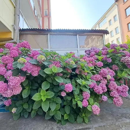 Casa de hóspedes Family Magnolia - Summer 3*