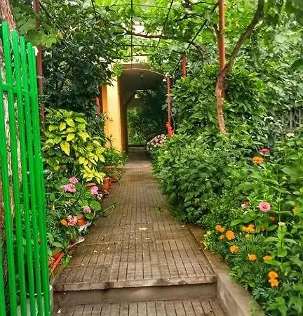 Family Magnolia - Summer 프리모르스코