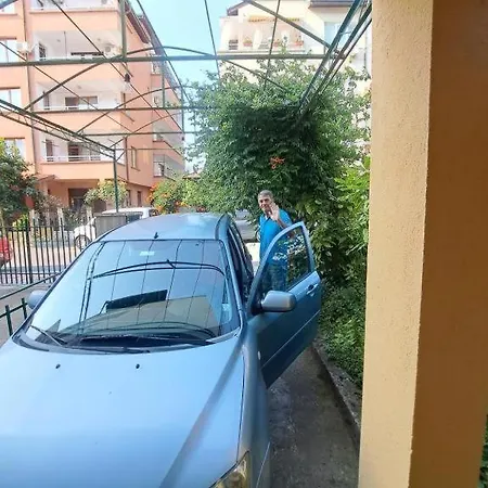 Family Magnolia - Summer 프리모르스코