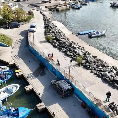 Family Magnolia - Summer 게스트하우스 3*