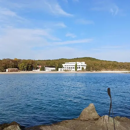 게스트하우스 Family Magnolia - Summer