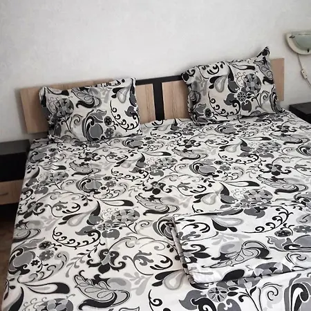 Family Magnolia - Summer 게스트하우스 프리모르스코