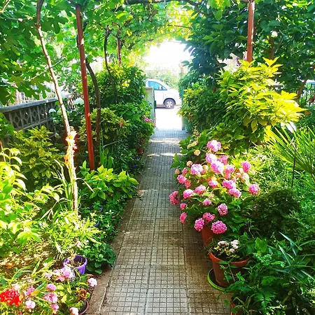 Family Magnolia - Summer 게스트하우스 3*